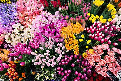 PS5系统更新致《最终幻想16》频发崩溃 SE正在解决